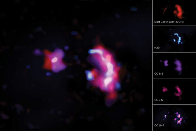 Images Of The Molecules Observed