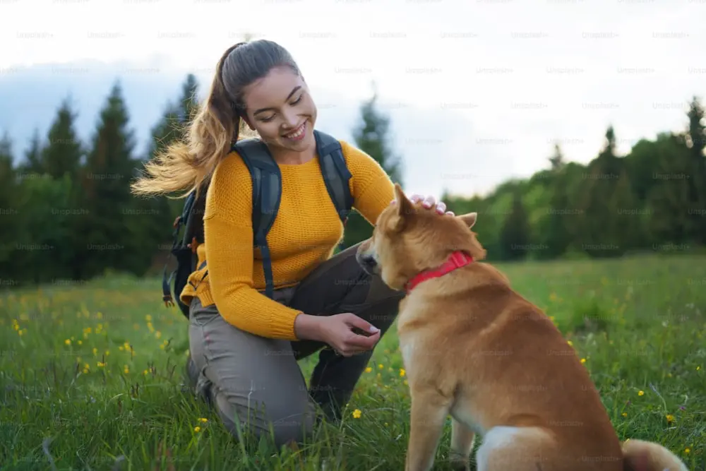 Eco Friendly Dog Care